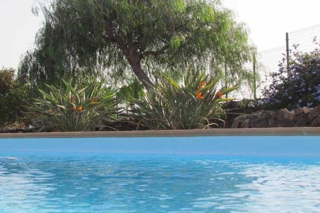 Heated & Shared Pool Villa Matriana 36B, North Shore Villas 라 올리바 외부 사진